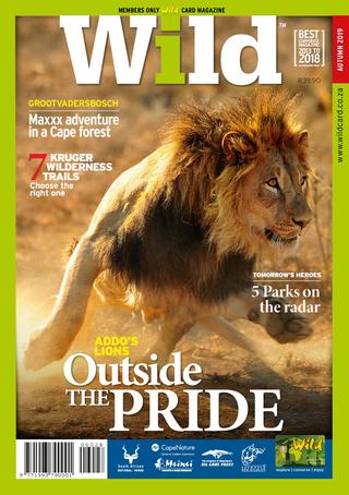 Wild Magazine Sanparks | Autumn 2019